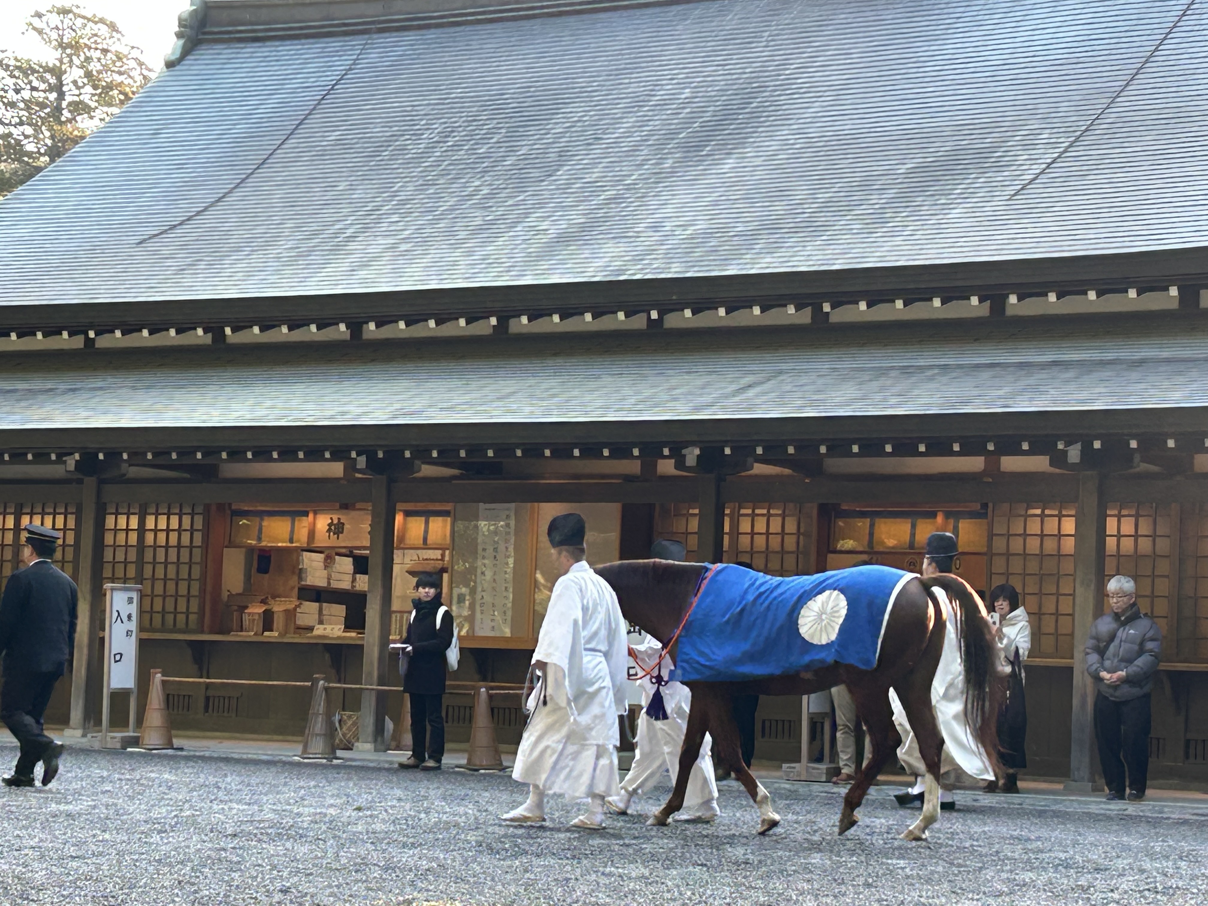 伊勢神宮の馬の写真
