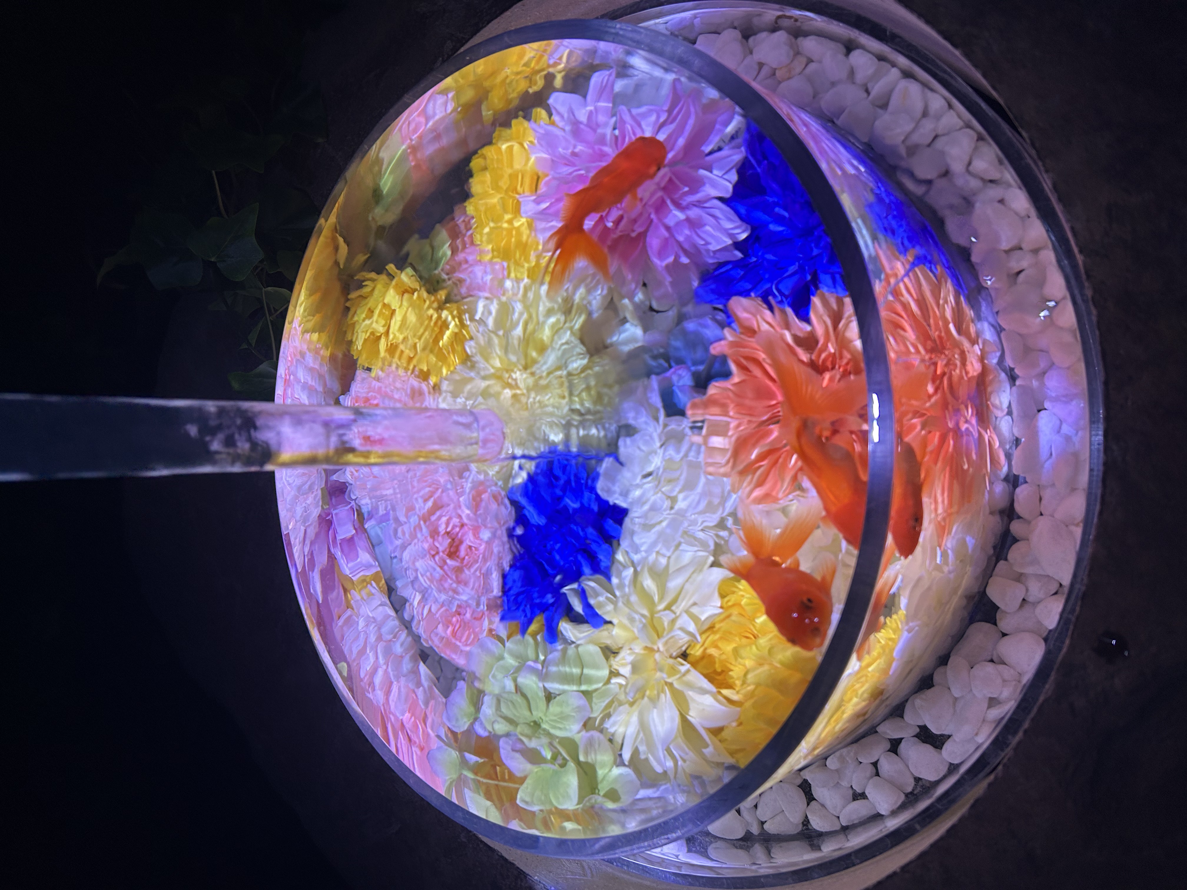 スヌーピー茶屋