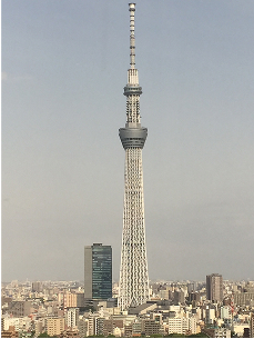 スカイツリーの外からの夜景の写真